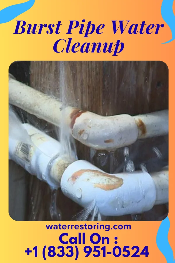 Burst Pipe Water Cleanup in Greencastle, PA