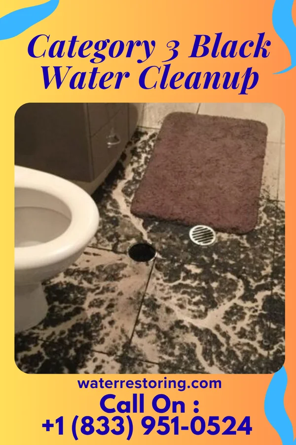 Category 3 Black Water Cleanup in Greencastle, PA