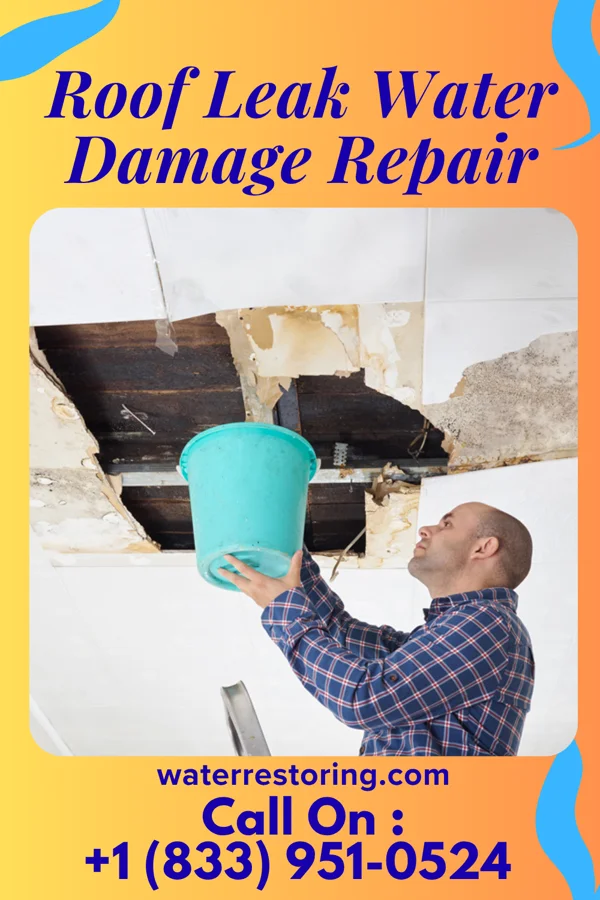 Roof Leak Water Damage Repair in Greencastle, PA