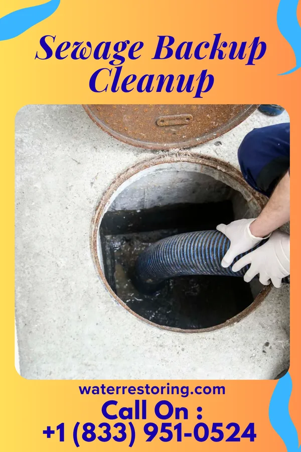 Sewage Backup Cleanup in Greencastle, PA