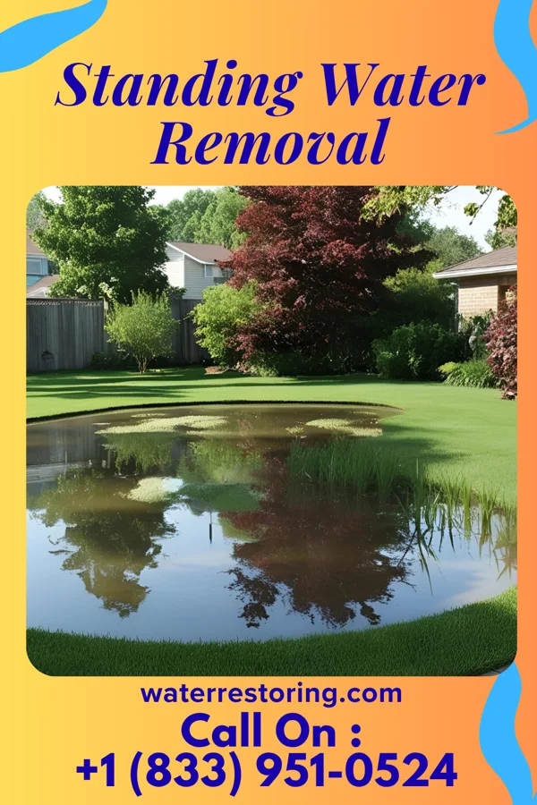 Standing Water Removal in Greencastle, PA